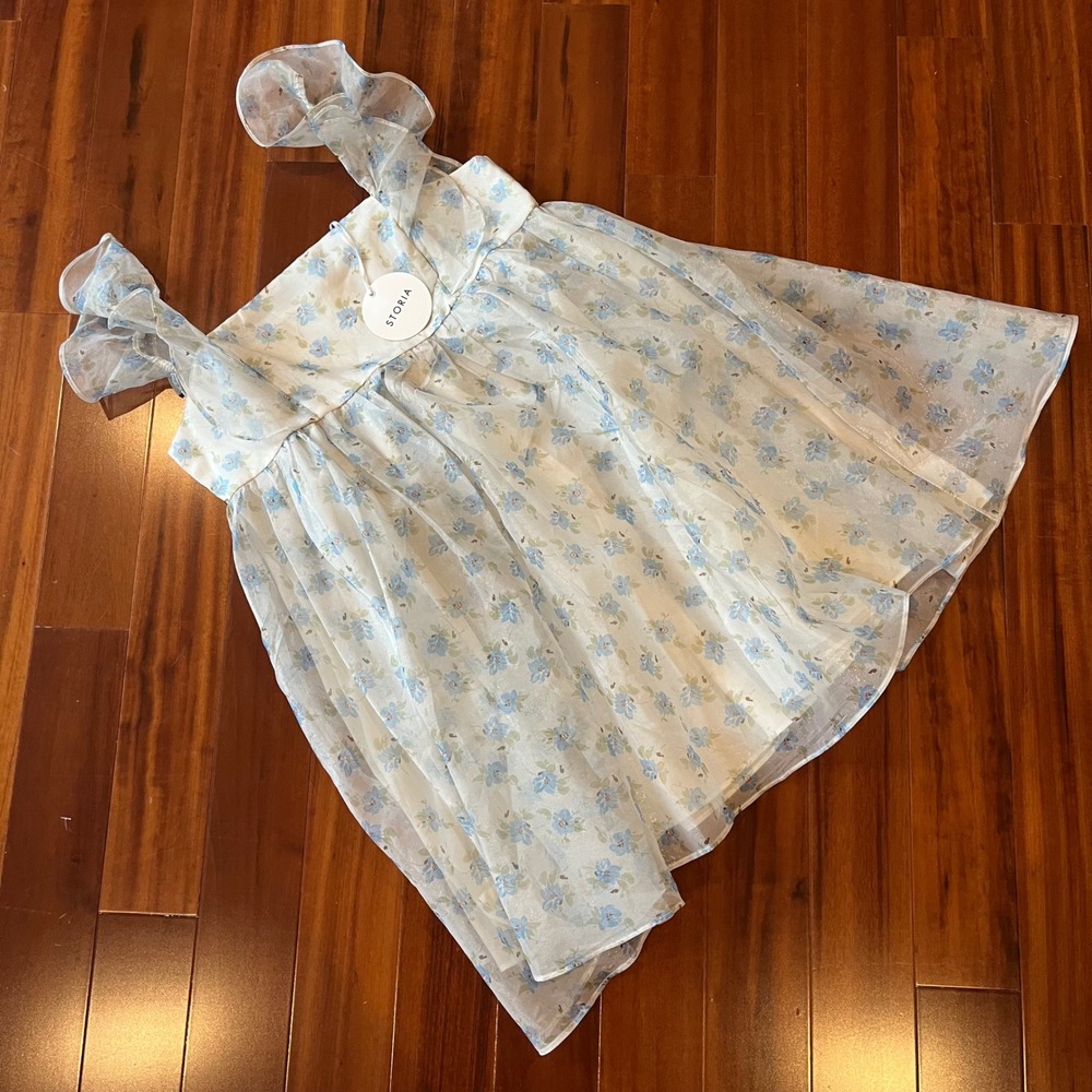 Storia Fairycore Babydoll Dress Floral Organza Mini Blue New NWT Size Medium